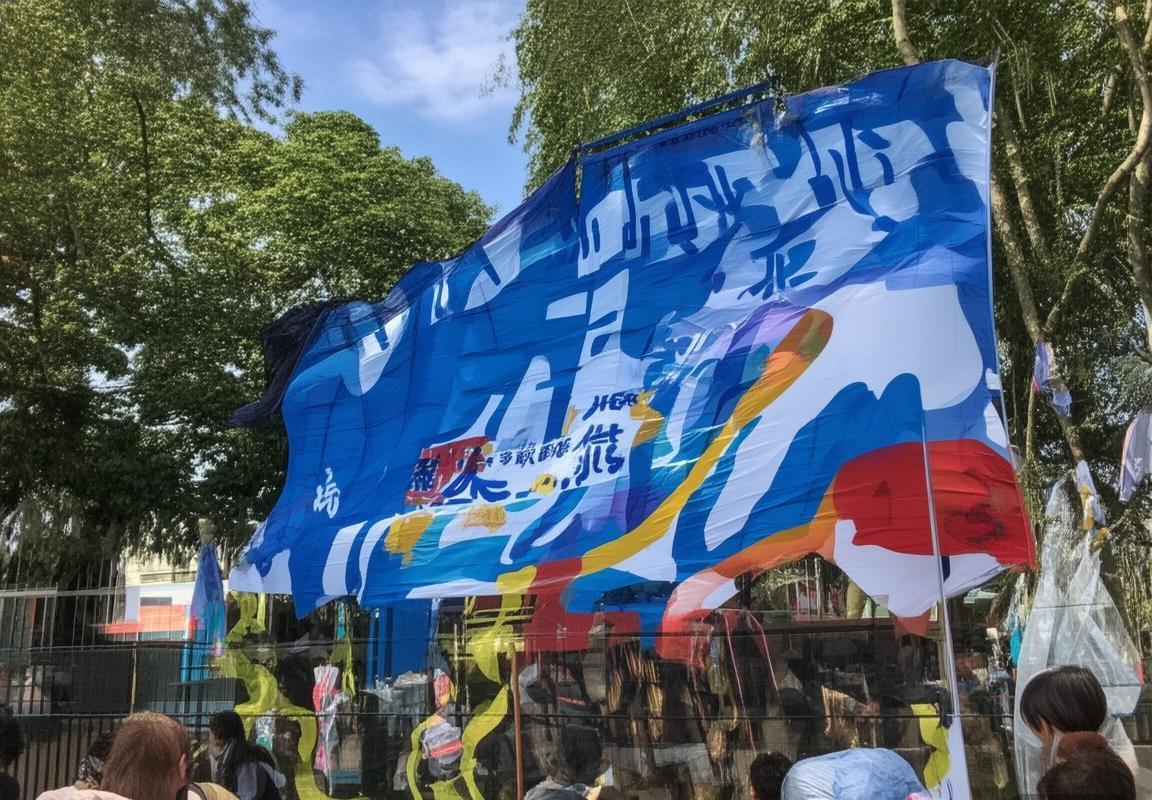 芬兰女足vs冰岛女足：欧洲杯前瞻与关键对决分析(图2)